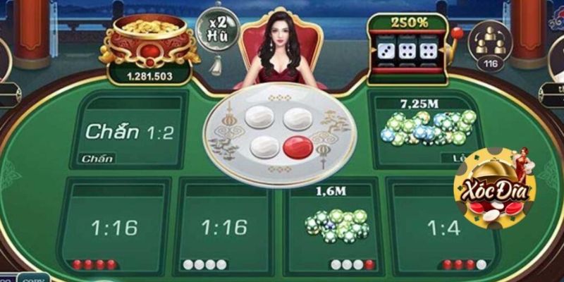 Hướng dẫn cách chơi xóc đĩa từng bước